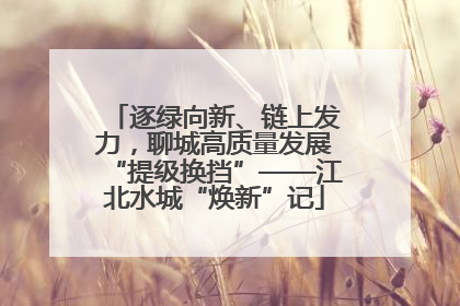 逐绿向新、链上发力，聊城高质量发展“提级换挡”——江北水城“焕新”记